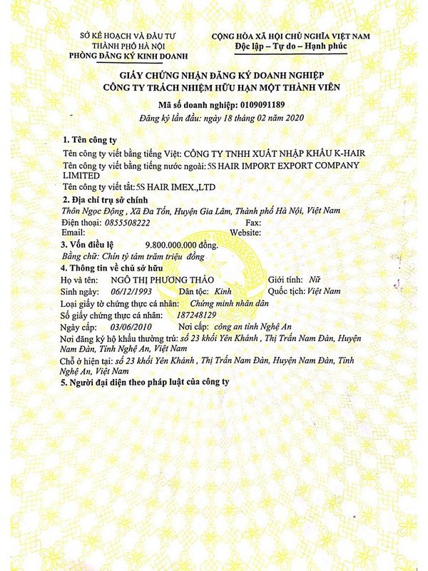 5s-hair-document2