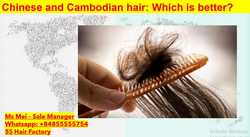Chinese-and-Cambodian-hair-Which-is-better-5