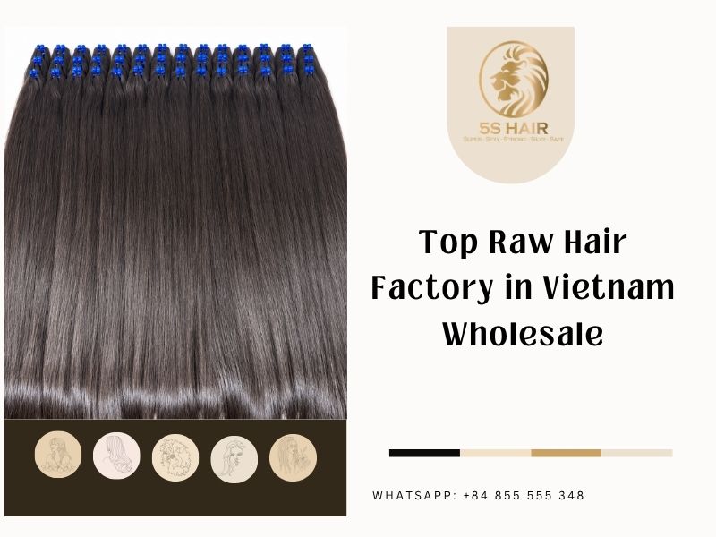 raw hair factory in vietnam