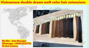 Vietnamese-double-drawn-weft-color-hair-extensions-3