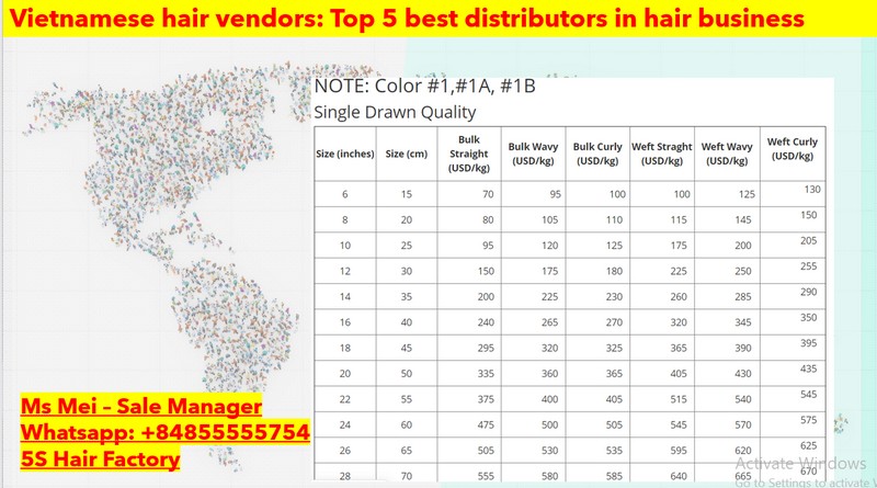 Vietnamese-hair-vendors-top-5-best-distributors-in-hair-business-8