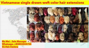 Vietnamese-single-drawn-weft-color-hair-extensions-2