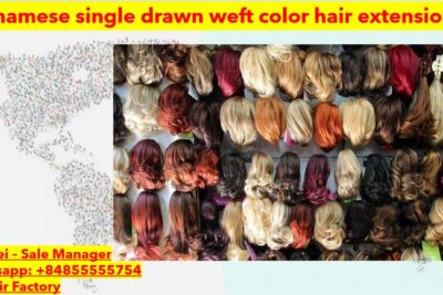 Vietnamese-single-drawn-weft-color-hair-extensions-2