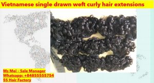 Vietnamese-single-drawn-weft-curly-hair-extensions-3