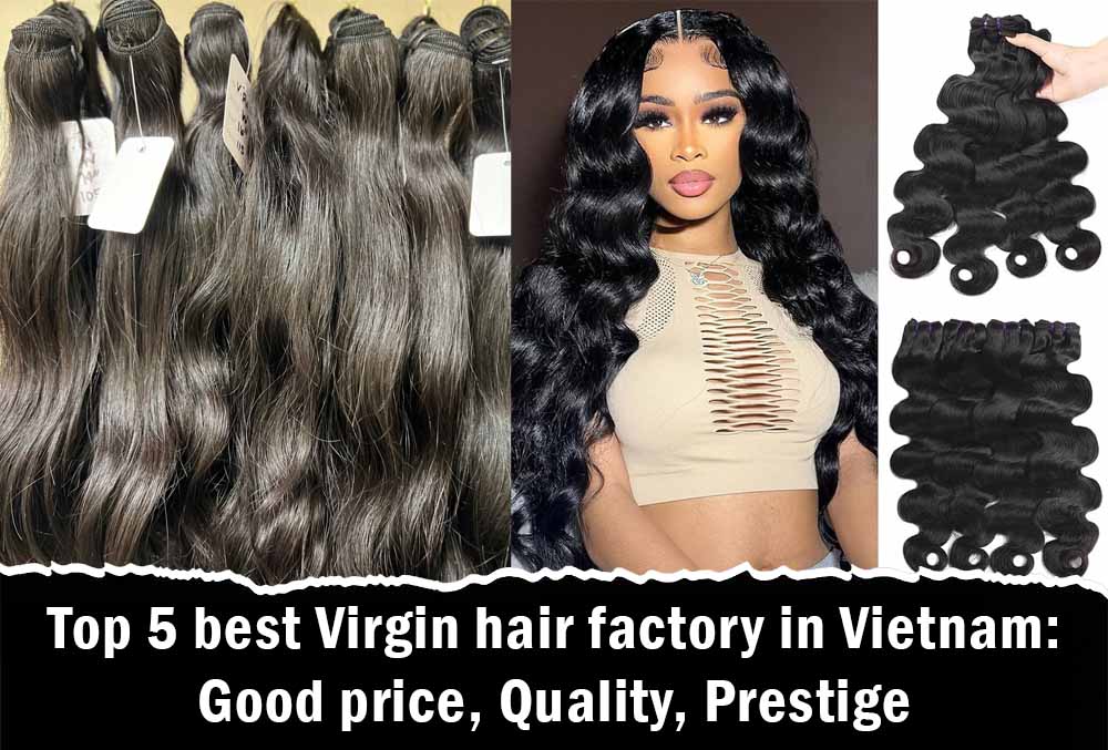 Top 5 best Virgin hair factory in Vietnam: Good price, Quality, Prestige