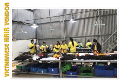 Vietnamese Hair Vendors