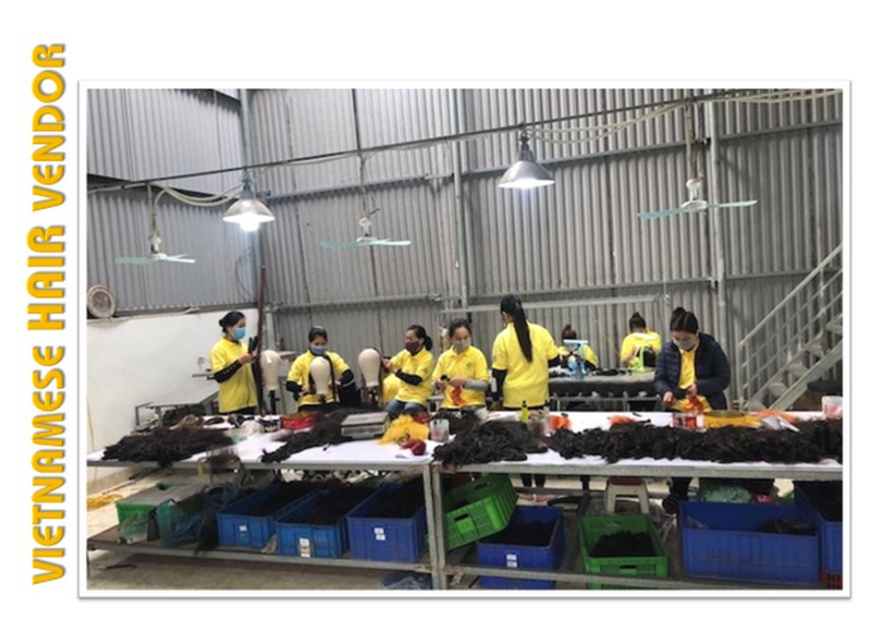 list-of-3-best-reliable-vietnamese-hair-vendors-1