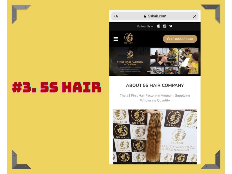 vietnam-hair-vendors-top-3