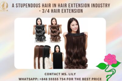 a-stupendous-hair-in-hair-extension-industry-3-4-hair-extensionft