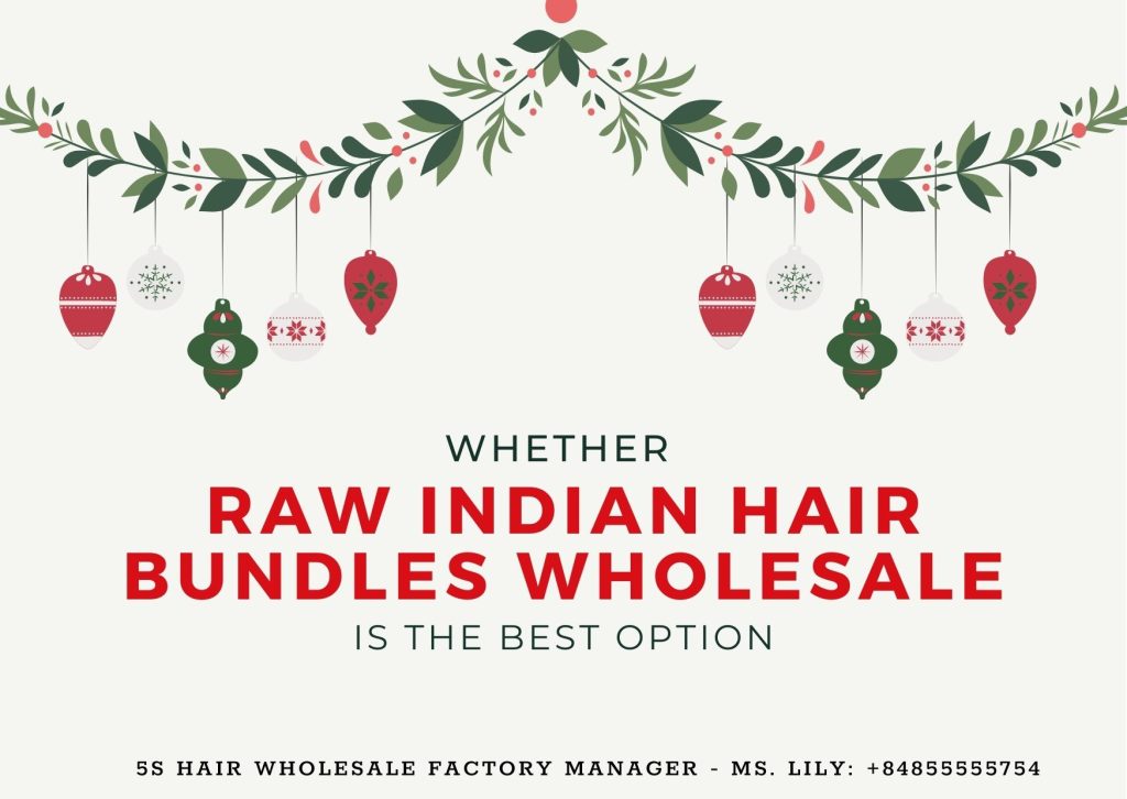 Whether raw Indian hair bundles wholesale is the best option 1 whether-raw-Indian-hair-bundles-wholesale-is-the-best-option1