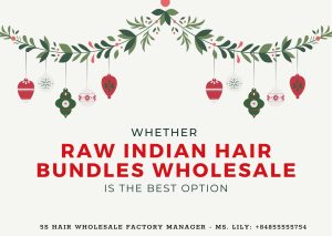 whether-raw-Indian-hair-bundles-wholesale-is-the-best-option1