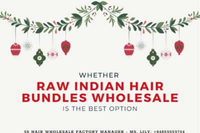 whether-raw-Indian-hair-bundles-wholesale-is-the-best-option1