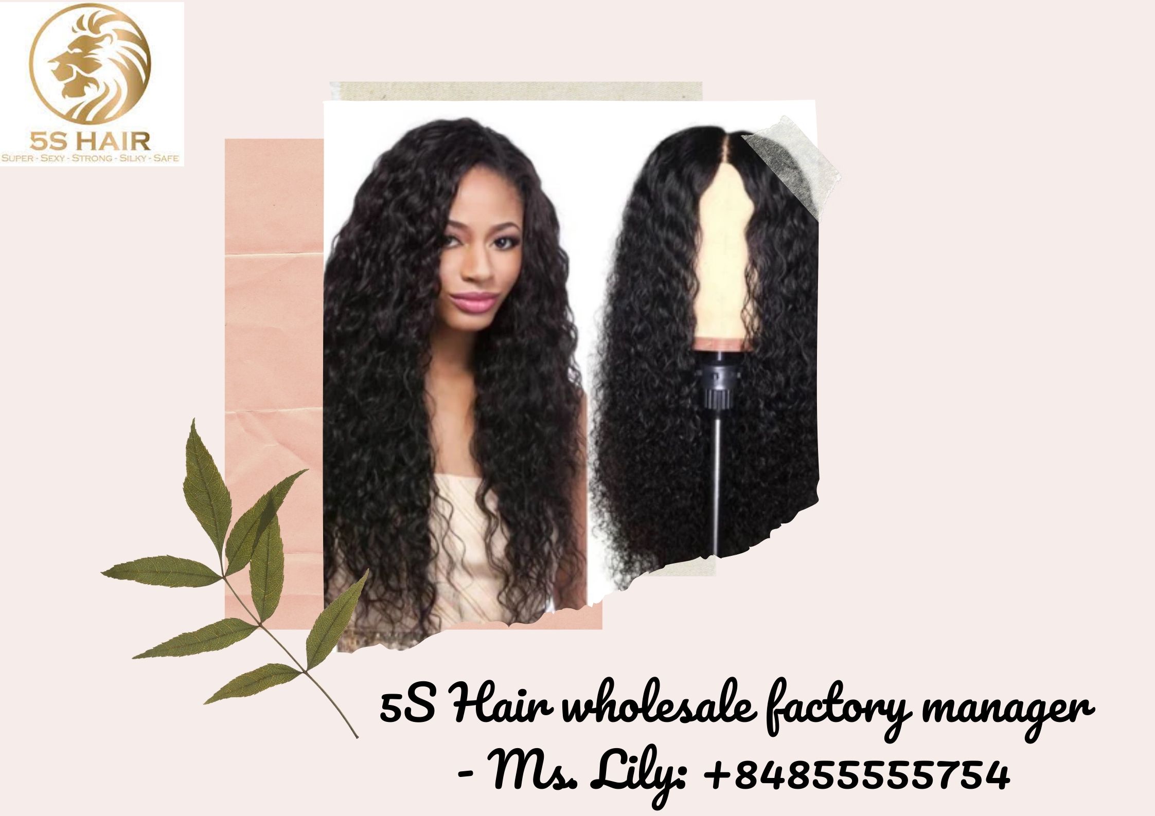 how-is-the-current-5s-hair-factorys-hair-extension-market-developing