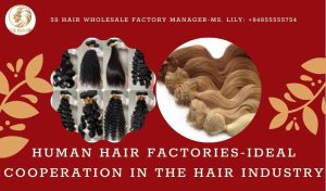 human-hair-factories-ideal-cooperation-in-the-hair-industry1
