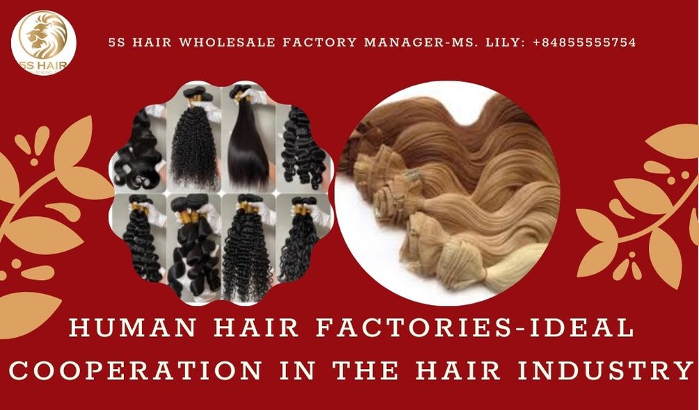 Human hair factories in China - ideal cooperation in the hair industry