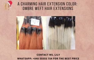 a-charming-hair-extension-color-ombre-weft-hair-extensionsft