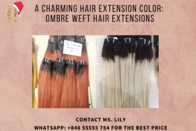 a-charming-hair-extension-color-ombre-weft-hair-extensionsft