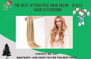 the best attractive hair color 8 613 hair extensions 5