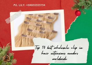 top-10-best-wholesale-clip-in-hair-extensions-vendors-worldwide1
