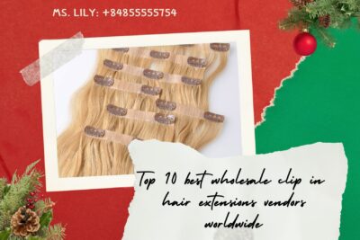 top-10-best-wholesale-clip-in-hair-extensions-vendors-worldwide1