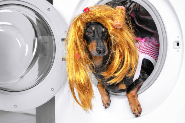 wig washing machine