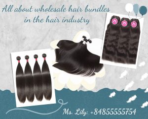 all-about-wholesale-hair-bundles-in-the-hair-industry1