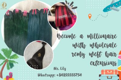 become-a-millionaire-with-wholesale-remy-weft-hair-extensions-ft