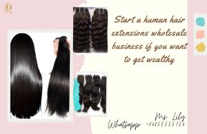 start-a-human-hair-extensions-wholesale-business-if-you-want-to-get-wealthy