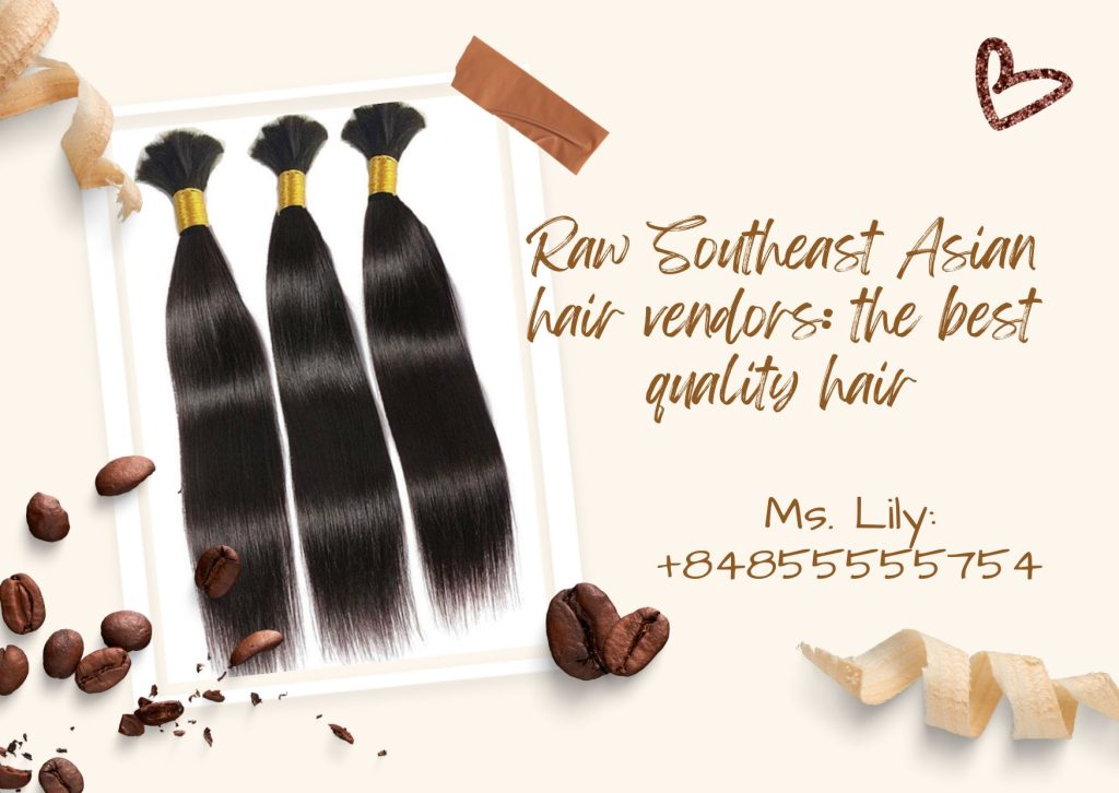 Raw Southeast Asian hair vendors: the best quality hair 1 raw-southeast-asian-hair-vendors-the-best-quality-hair1