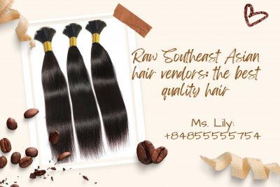 raw-southeast-asian-hair-vendors-the-best-quality-hair1