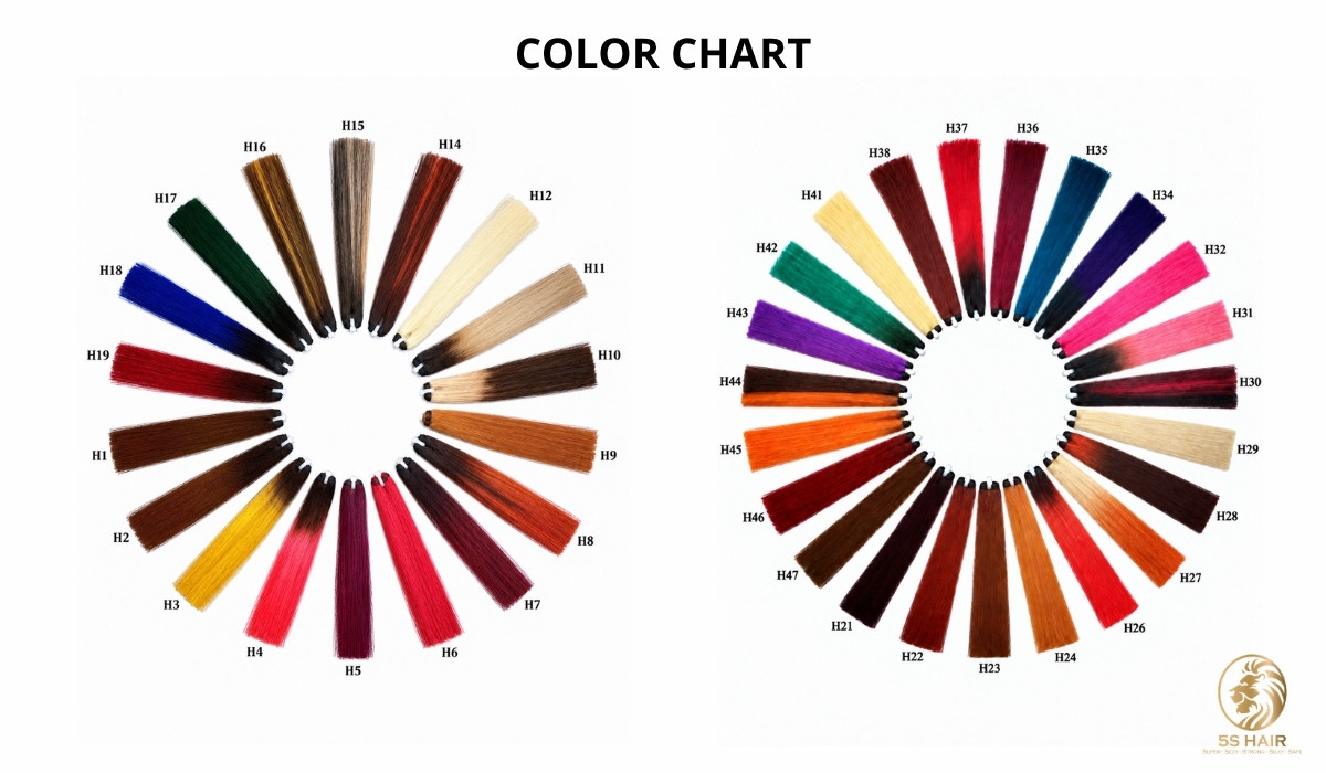 color chart 5s hair