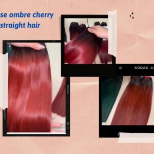 vietnamese-ombre-cherry-bone-straight9