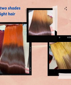 vietnamese-two-shades-bone-straight-hair9