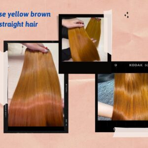 vietnamese-yellow-brown-bone-straight-hair9