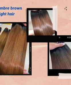 vietnamese-ombre-brown-bone-straight-hair87