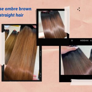 vietnamese-ombre-brown-bone-straight-hair87