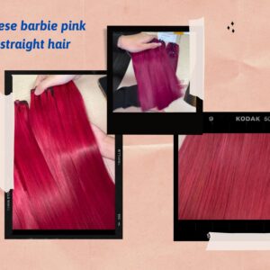vietnamese-barbie-pink-bone-straight-hair54