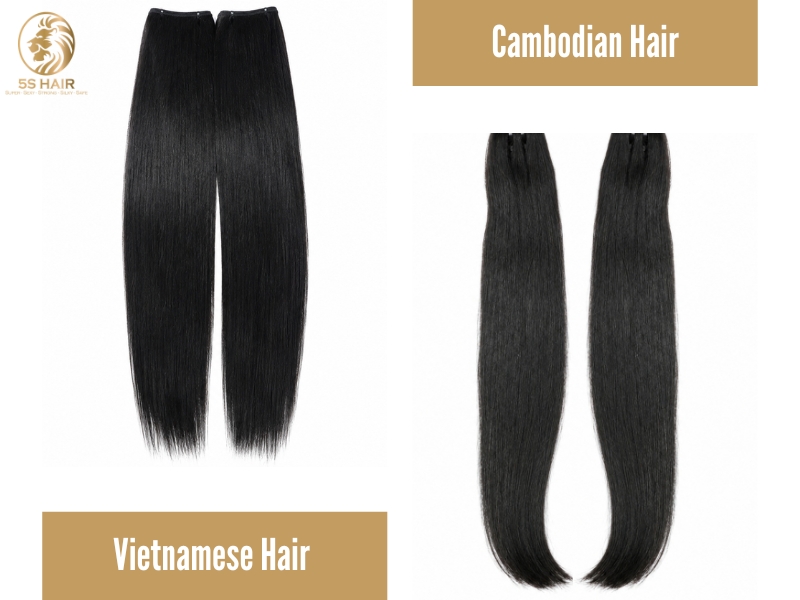 cambodian hair vs vietnamese hair