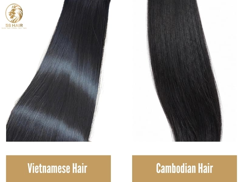 cambodian hair vs vietnamese hair