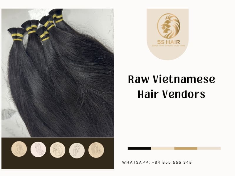 raw vietnamese hair vendors