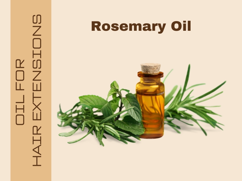 The Best Oil for Hair Extensions (Top 5 Options) 12 rosemary oil