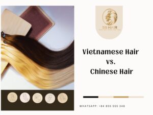 vietnamese hair vs chinese hair