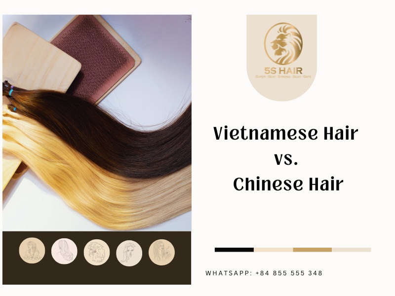 vietnamese hair vs chinese hair