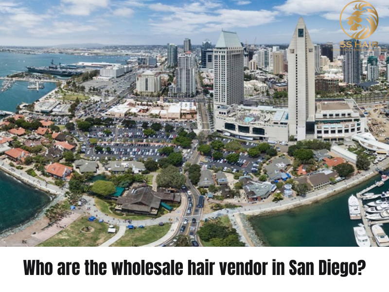 Who are the wholesale hair vendor San Diego