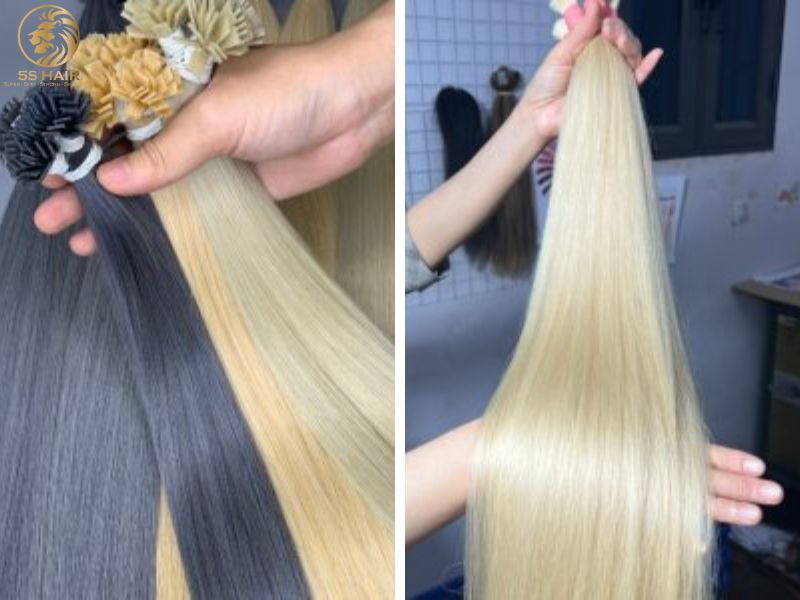 Top 10 Most Trusted Vietnamese Hair Vendors