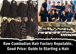 Raw Cambodian Hair Factory Reputable, Good Price: Guide to Starting a Hair Business