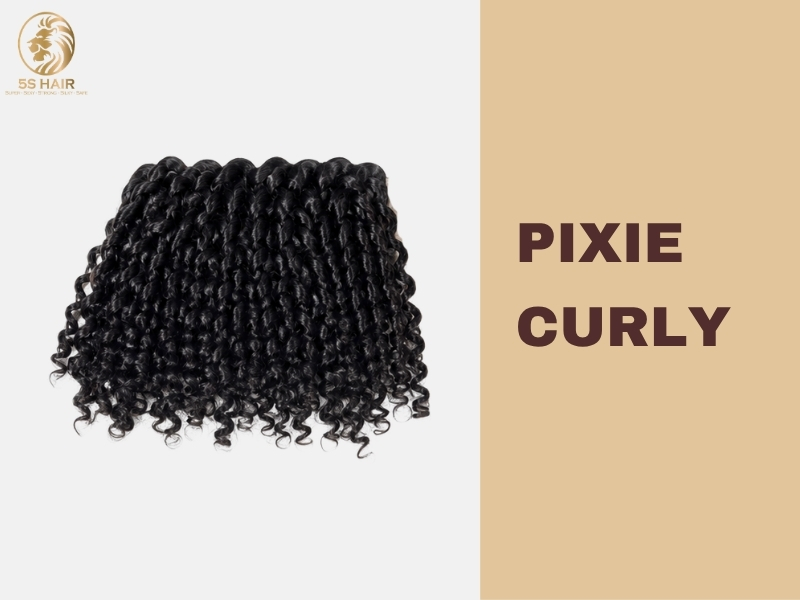 Vietnamese Pixie Curly