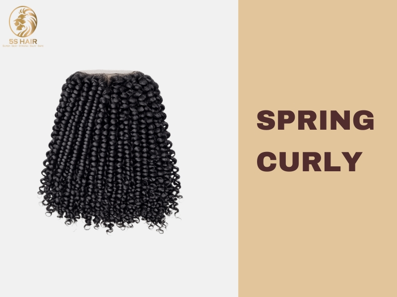Vietnamese Spring Curly