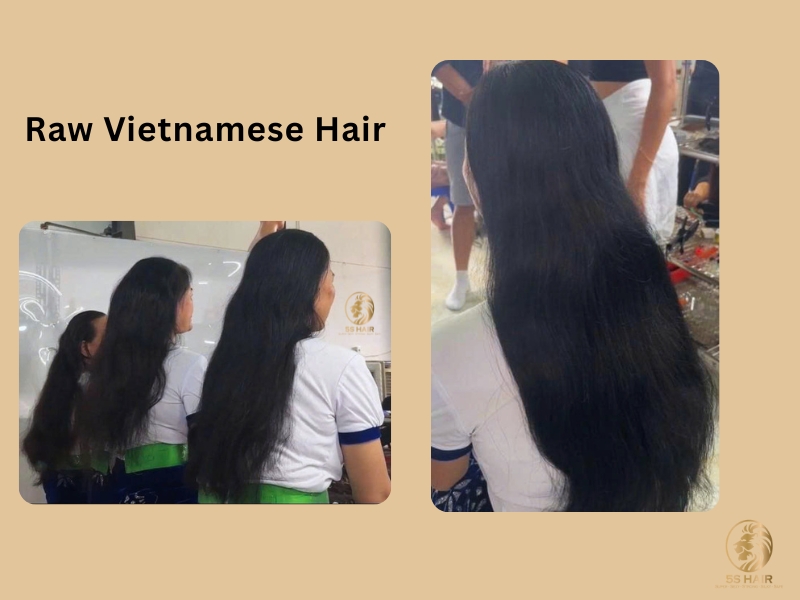 What Is Raw Vietnamese Hair? (Key Characteristics) 8 What is raw Vietnamese hair Raw Vietnamese hair is human hair collected from a single donor