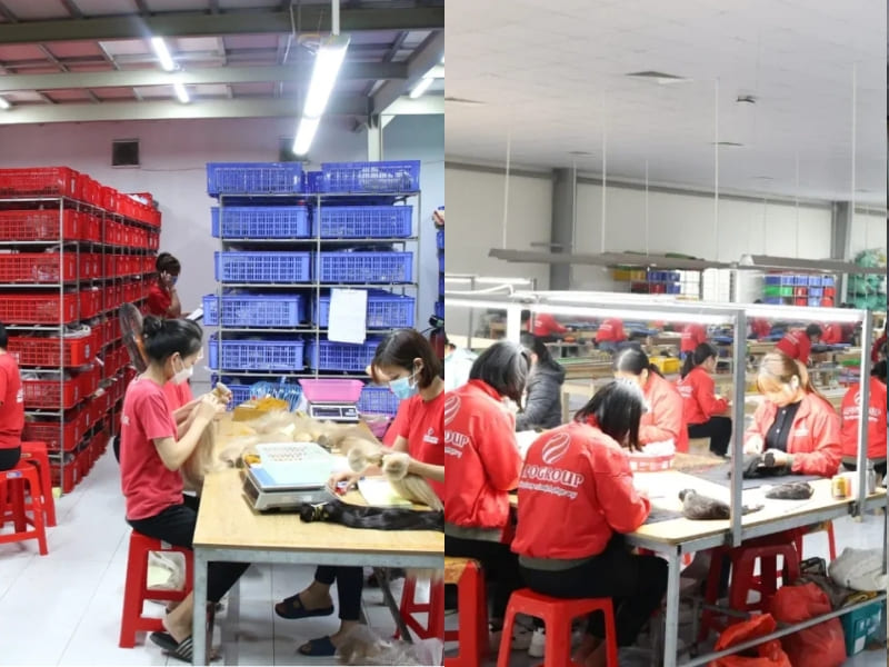 best vietnamese hair factory